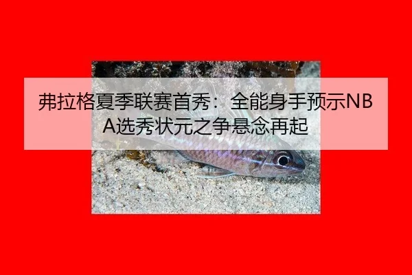 fu-la-ge-xia-ji-lian-sai-shou-xiu-quan-neng-shen-shou-yu-shi-xuan-xiu-zhuang-yuan-zhi-zheng-xuan-nian-zai-qi-2-935.jpg