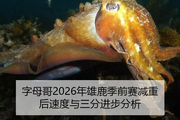 字母哥2026年雄鹿季前赛减重后速度与三分进步分析